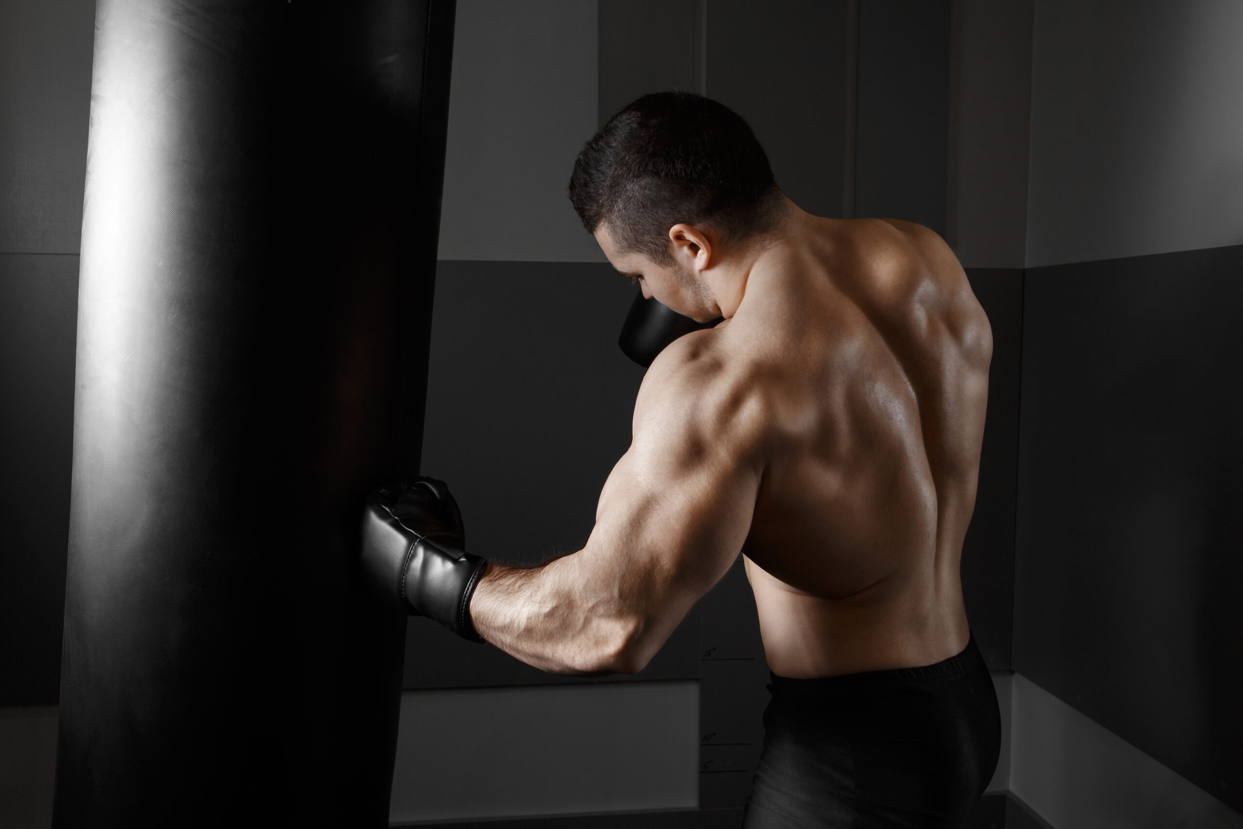 Shadow Boxing Your Invisible Sparring Partner Reimagined